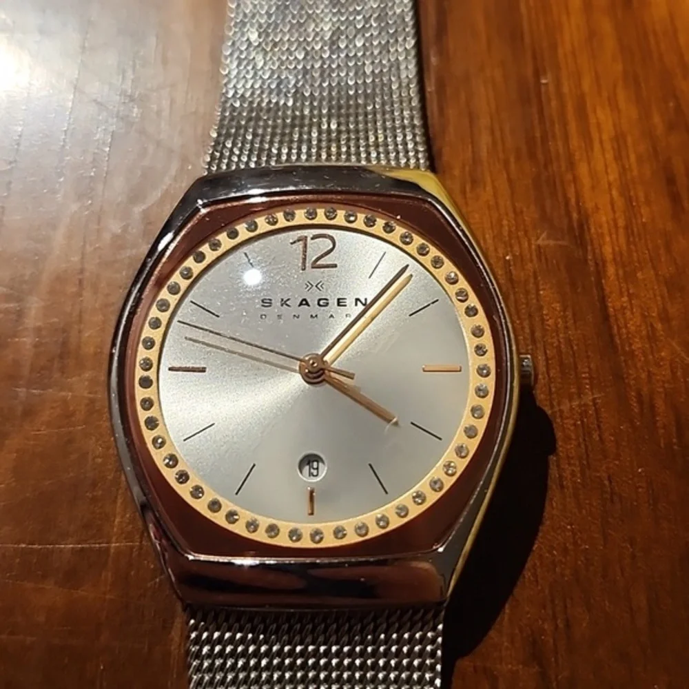 Skagen Asta Stainless Steel Mesh Watch w/Rose Face Date
